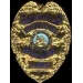 LAS CRUCES, NEW MEXICO POLICE DETECTIVE BADGE PIN